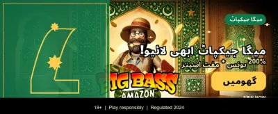 پاکستان کا سب سے بہترین گیمنگ پلیٹ فارم casino banner