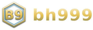 bh999game.net Logo